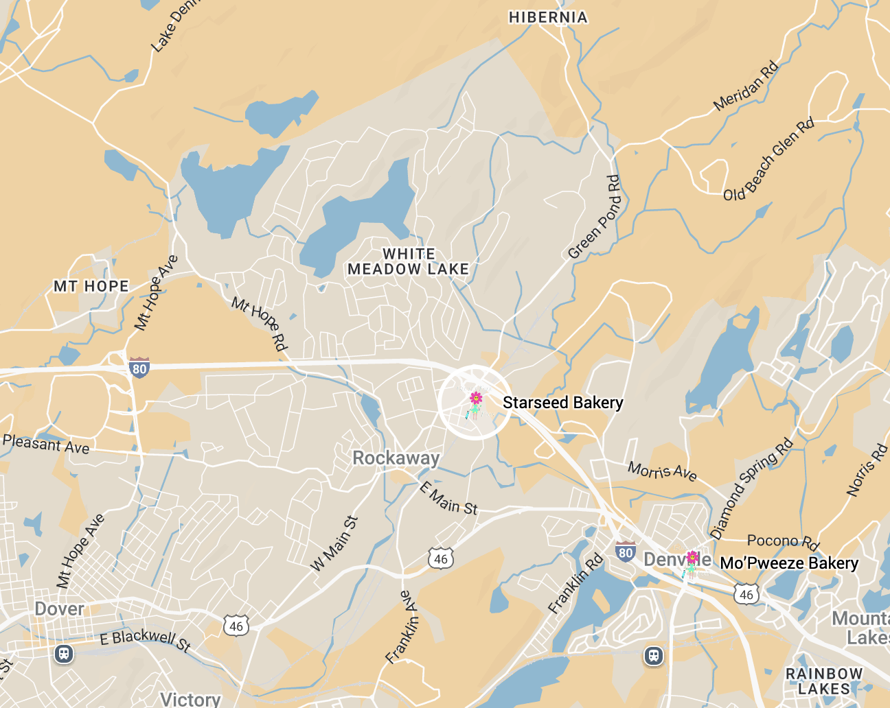 Starseed Bakery Starseed Bakery