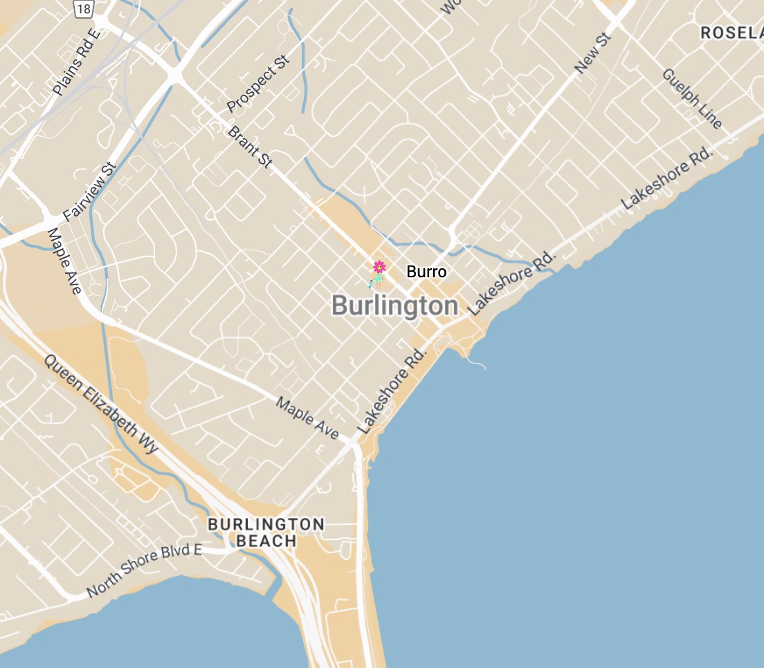 The Mule Burlington (Formerly Burro)