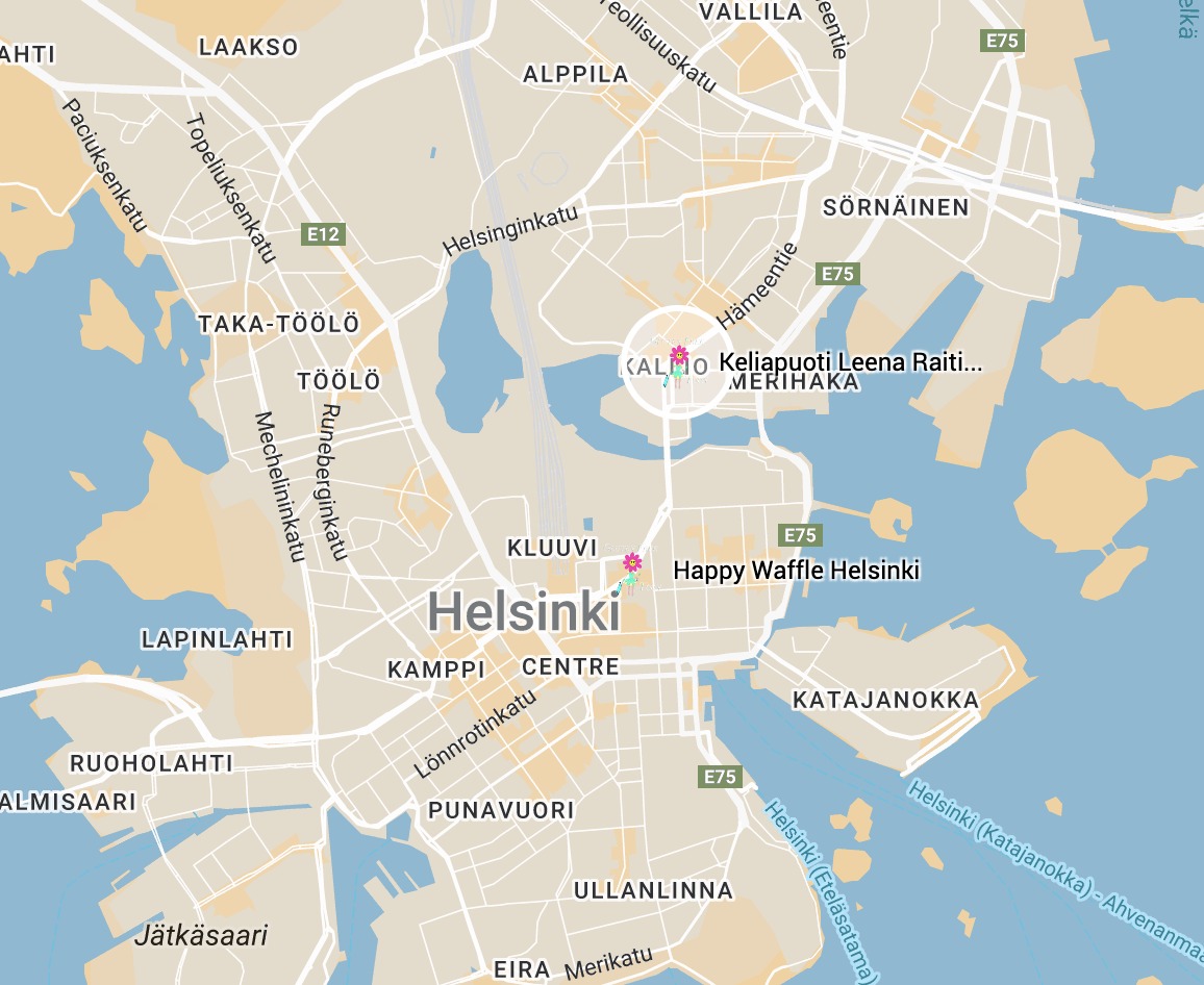 Keliapuoti Leena Raitisto