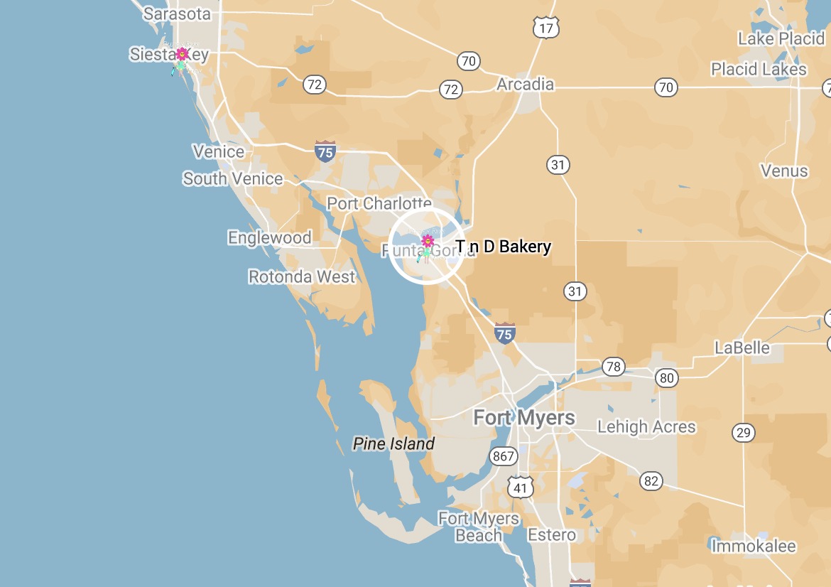 Google Map Google Map