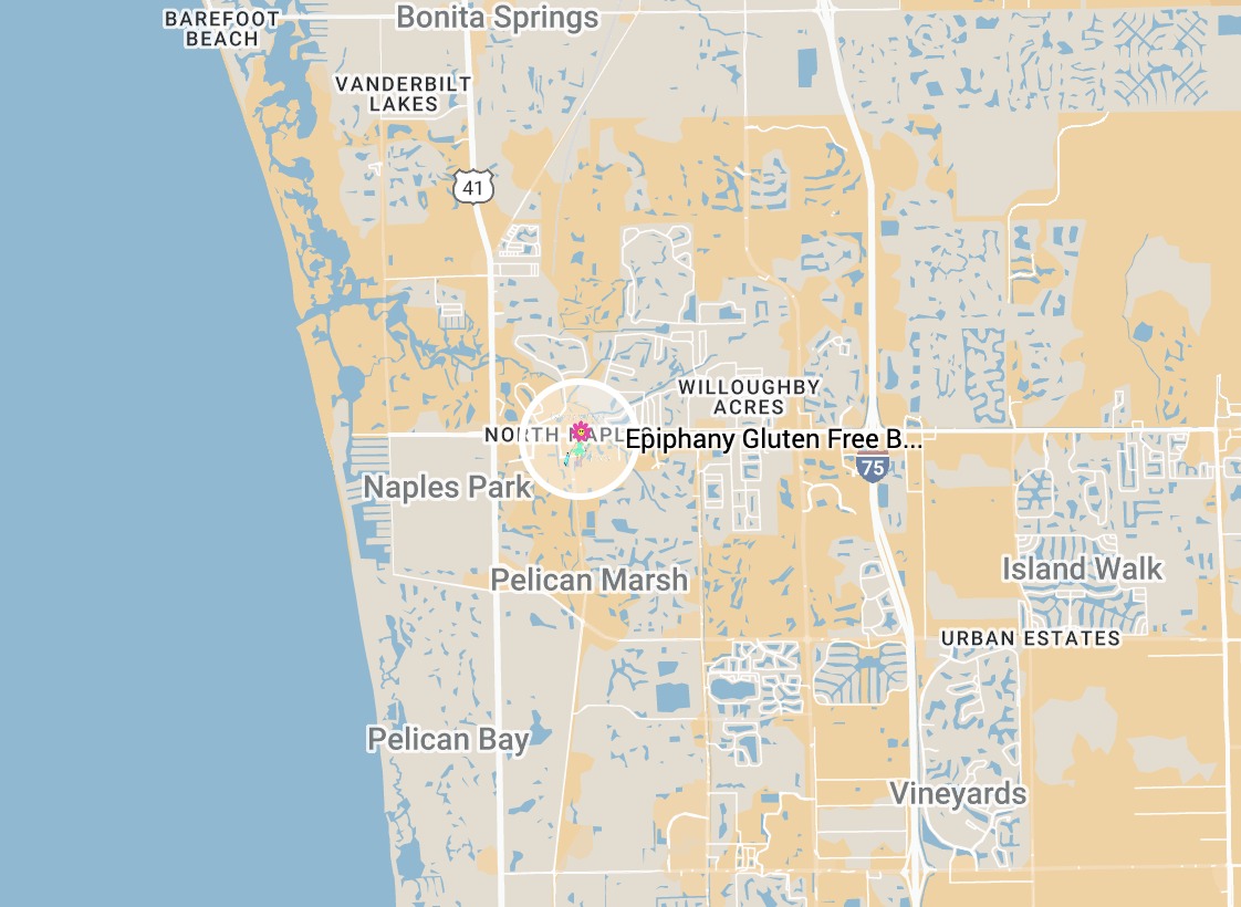 Google Map Google Map