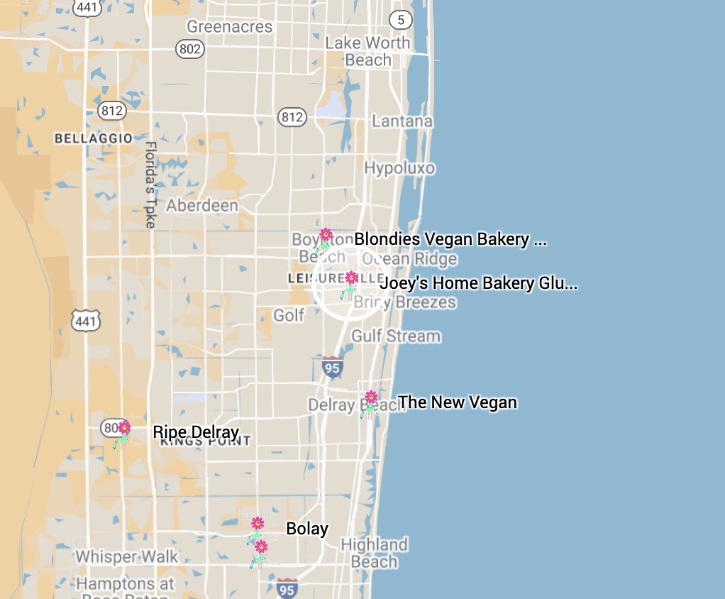 Google Map Google Map