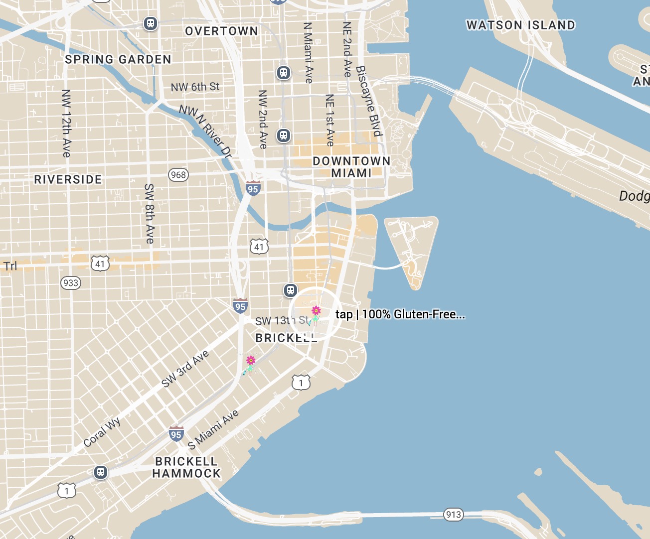 Google Map Google Map