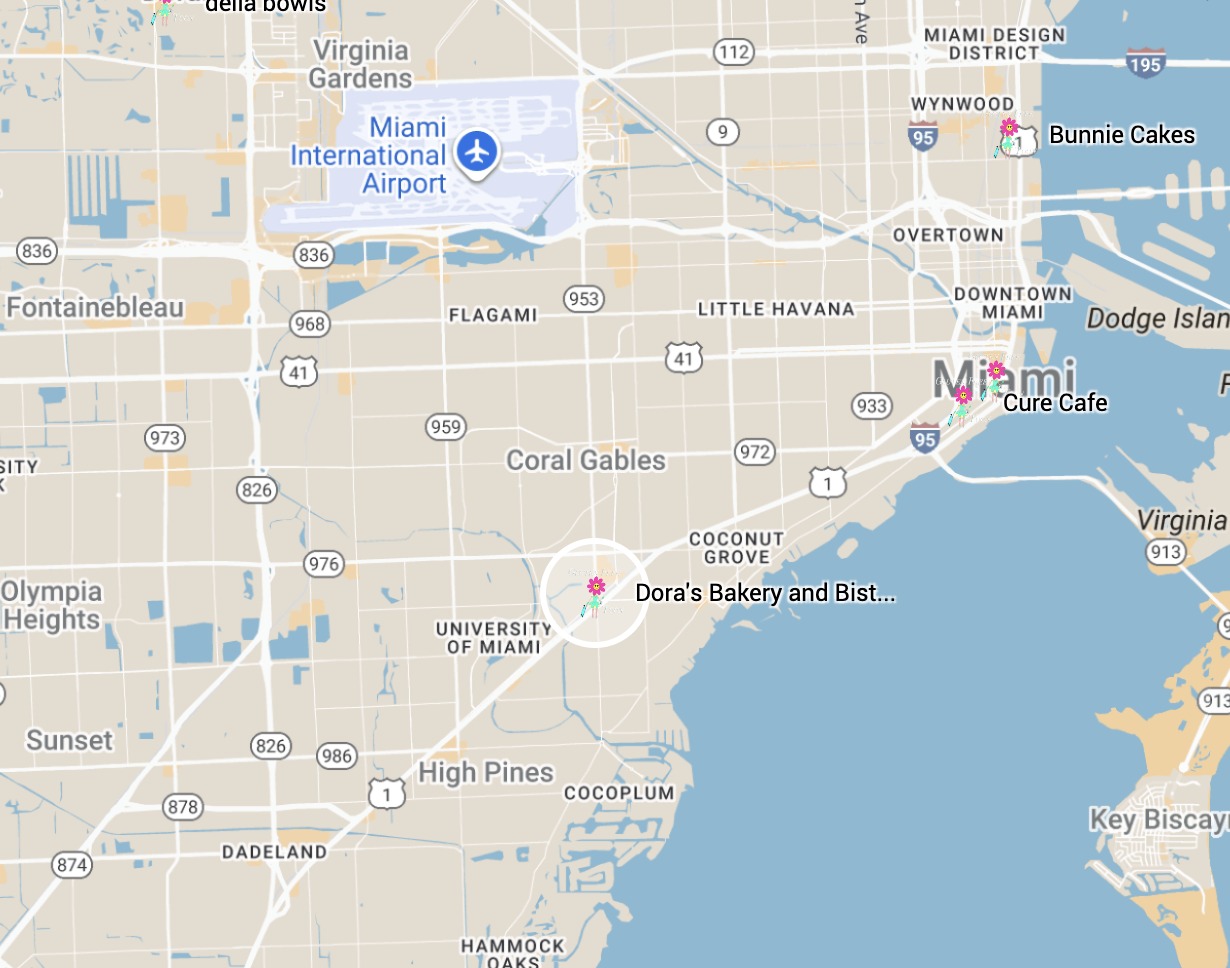 Google Map Google Map