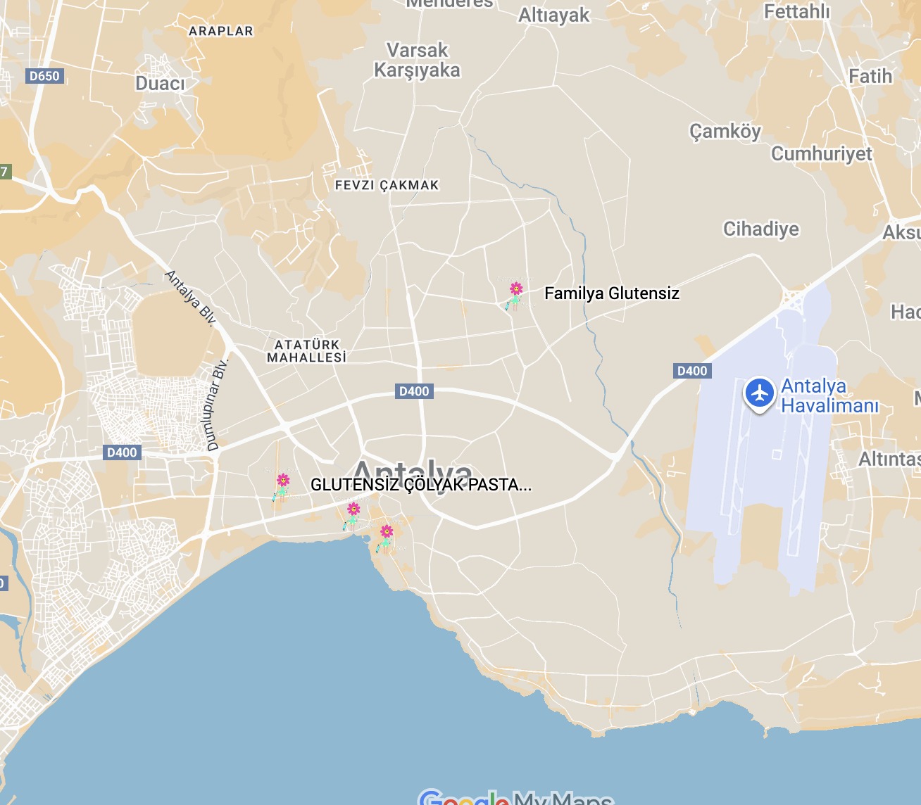 Google Map Google Map