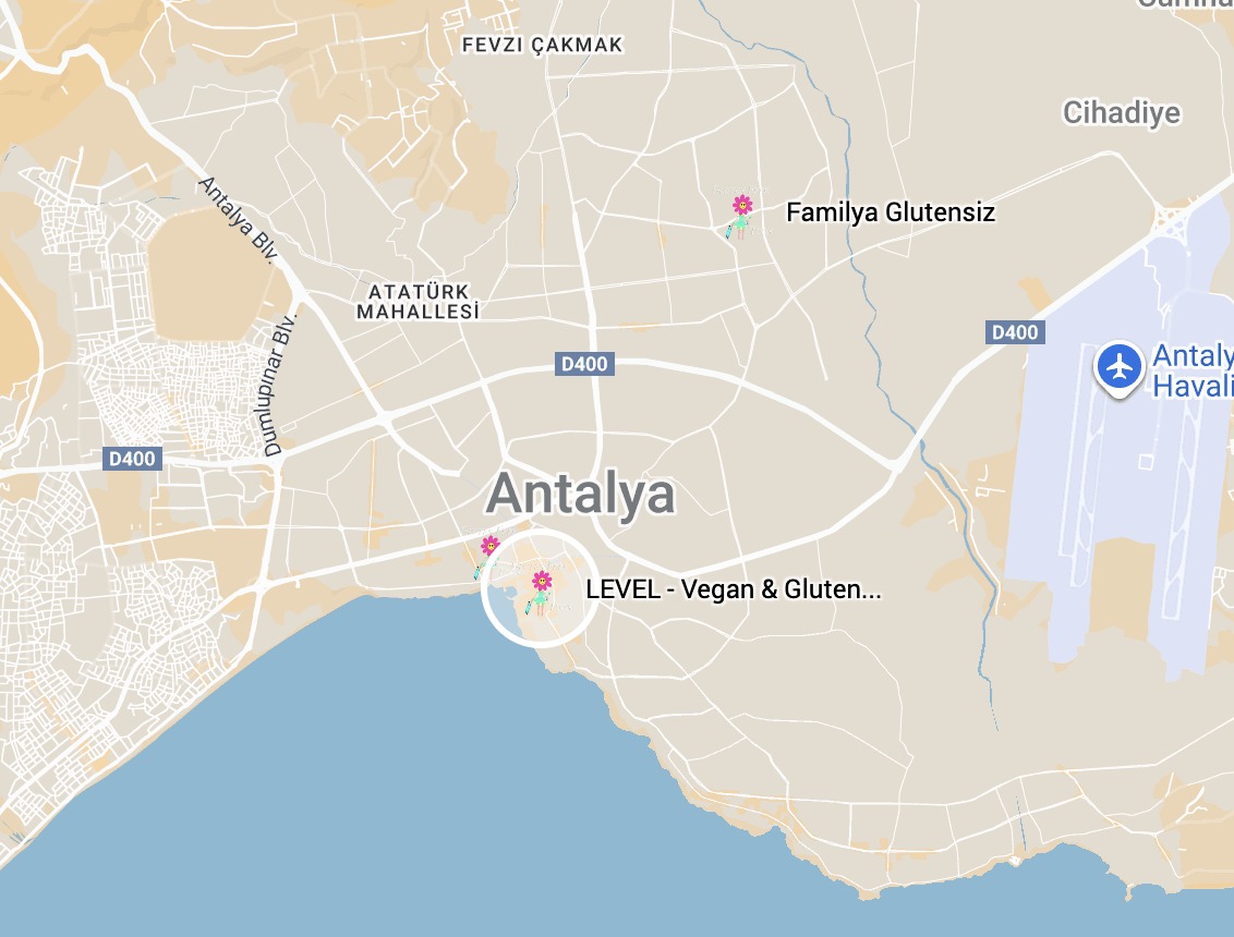 Google Map Google Map