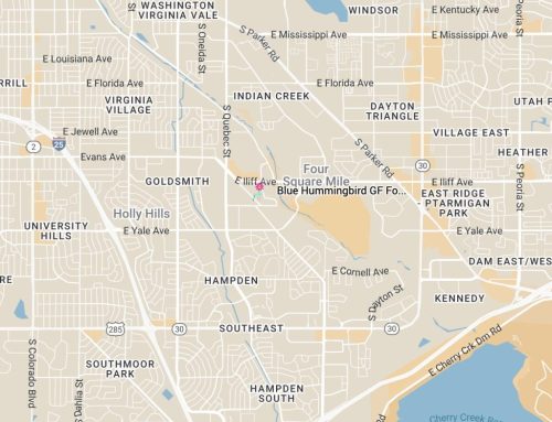 Blue Hummingbird GF Foods Blue Hummingbird GF Foods