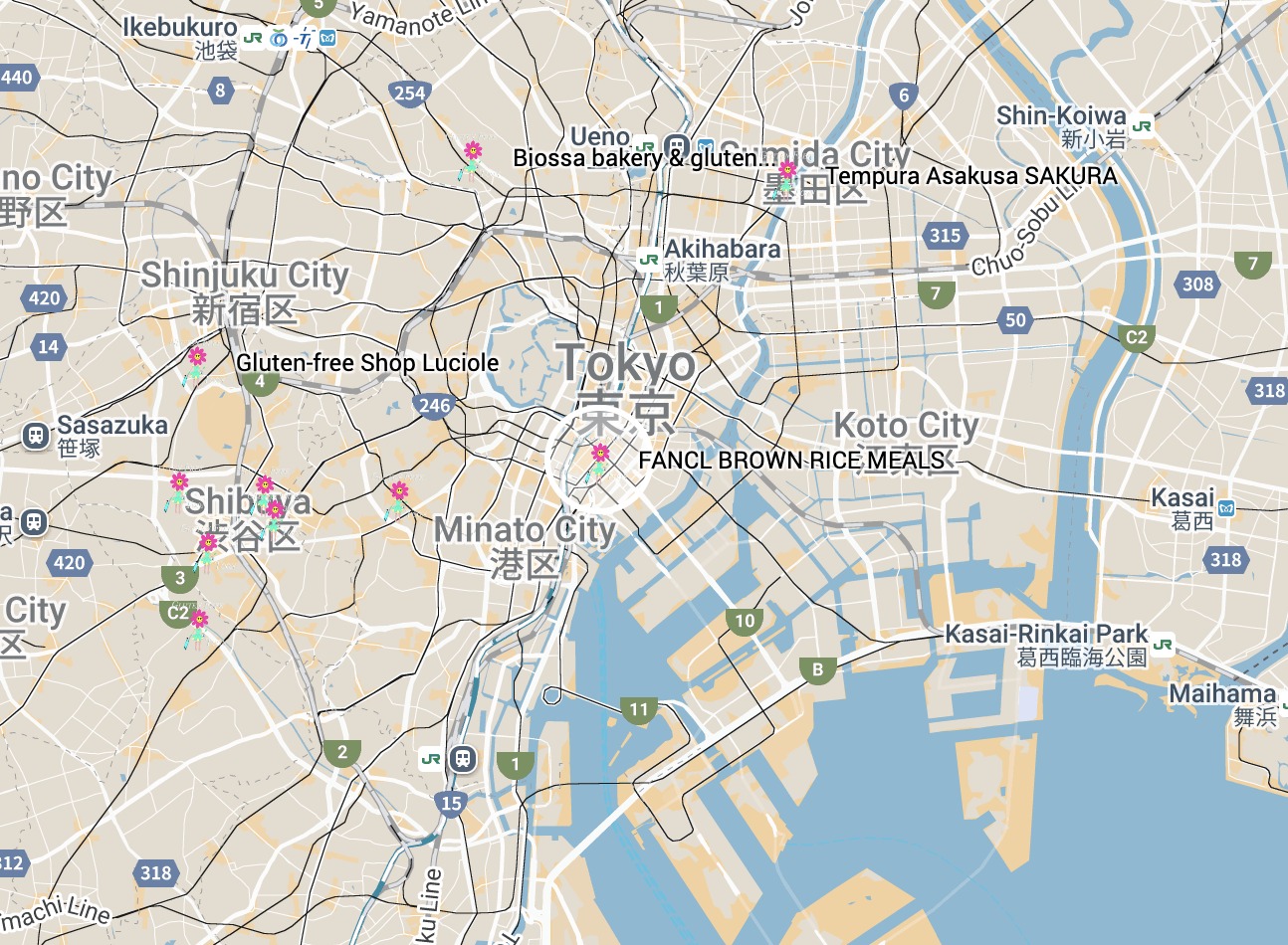 Screenshot 2025-12-12 at 23.04.55 Map